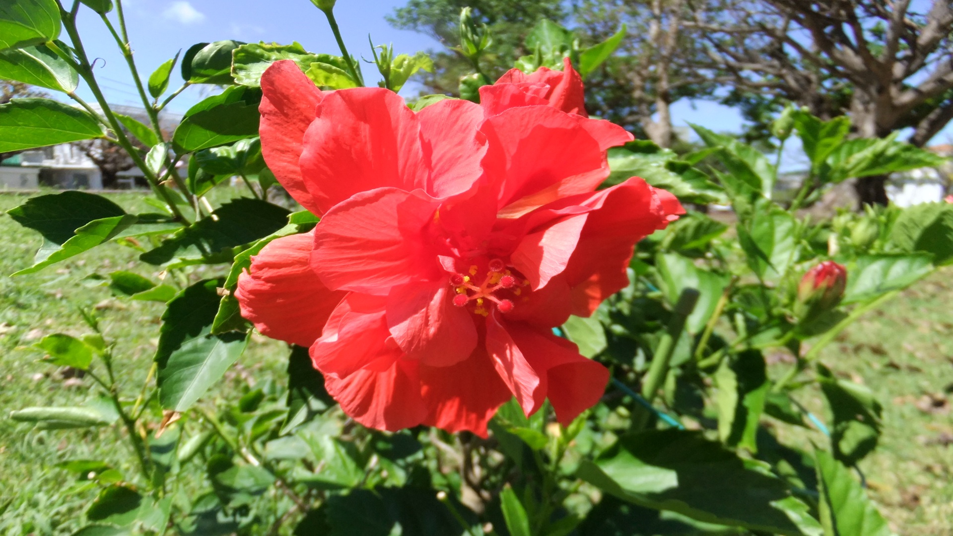 家事動線を重視したキッチンと収納